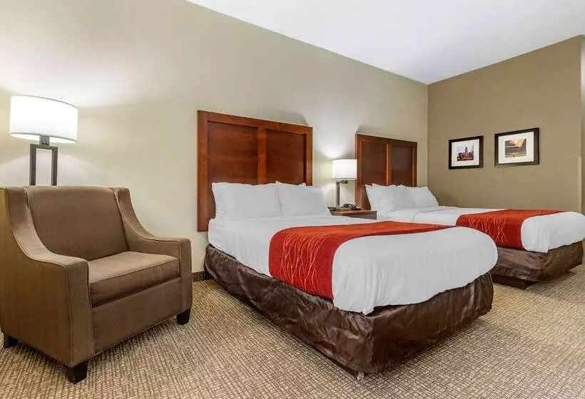 酒店 Comfort Inn & Suites Clemson  University Area