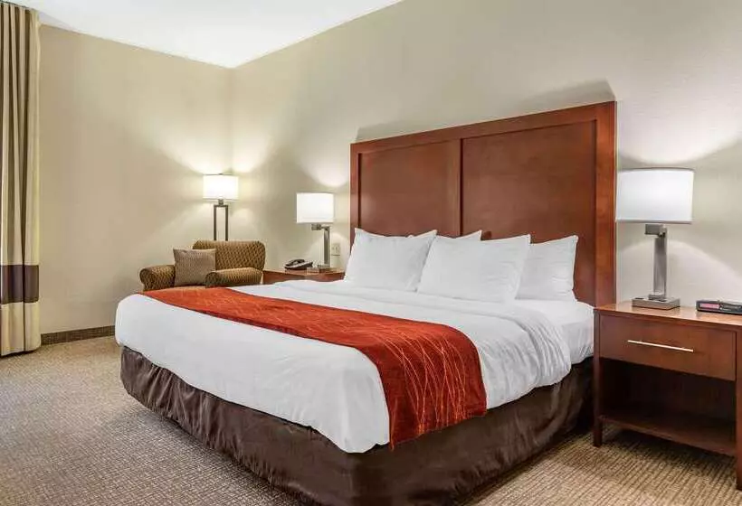 酒店 Comfort Inn & Suites Clemson  University Area