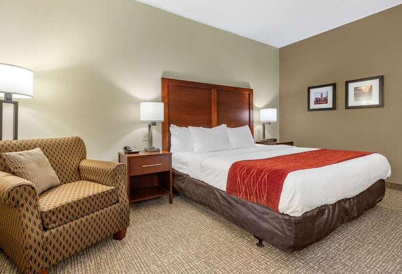 Otel Comfort Inn & Suites Clemson University Area