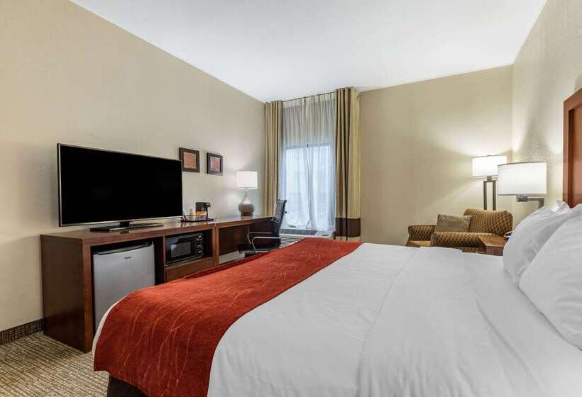 Otel Comfort Inn & Suites Clemson University Area