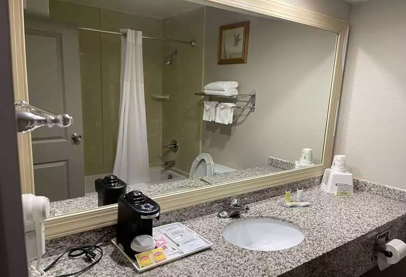 هتل Days Inn By Wyndham Fayettevillesouth/i95 Exit 49