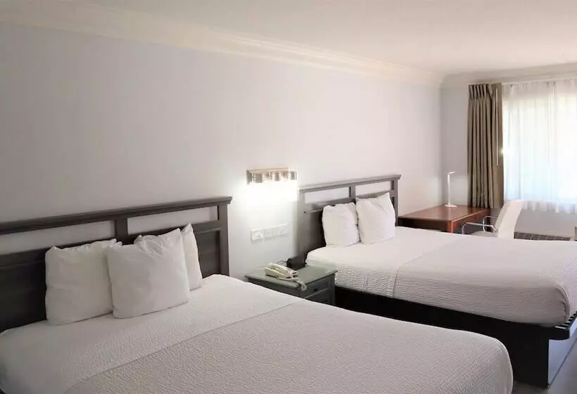 酒店 Days Inn By Wyndham Near City Of Hope