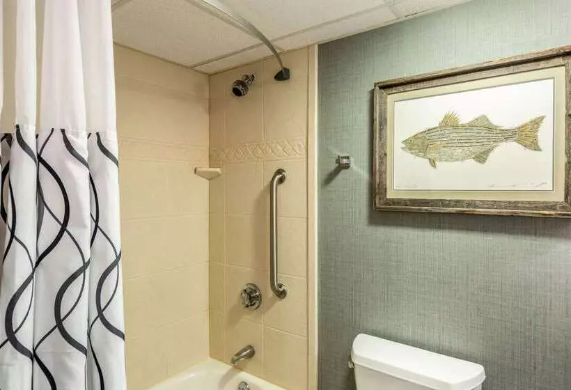 Edgar Hotel Martha S Vineyard, Ascend Hotel Collection