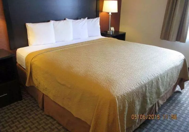 ホテル Quality Inn Buellton Solvang