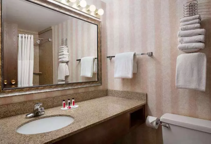 酒店 Ramada By Wyndham Bismarck