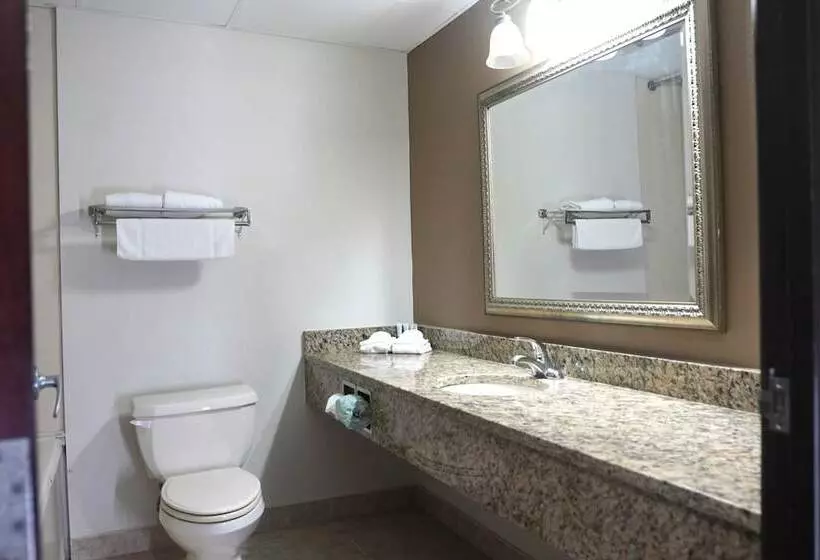 酒店 American Inn & Suites