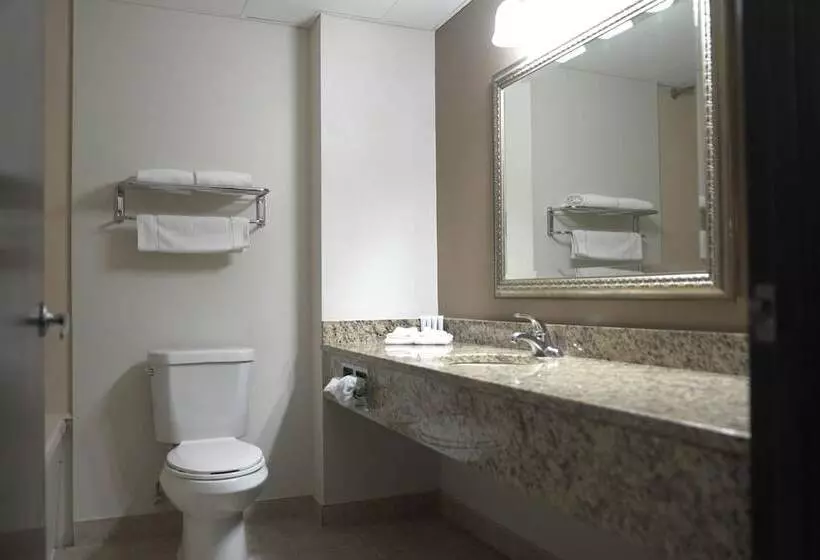 酒店 American Inn & Suites