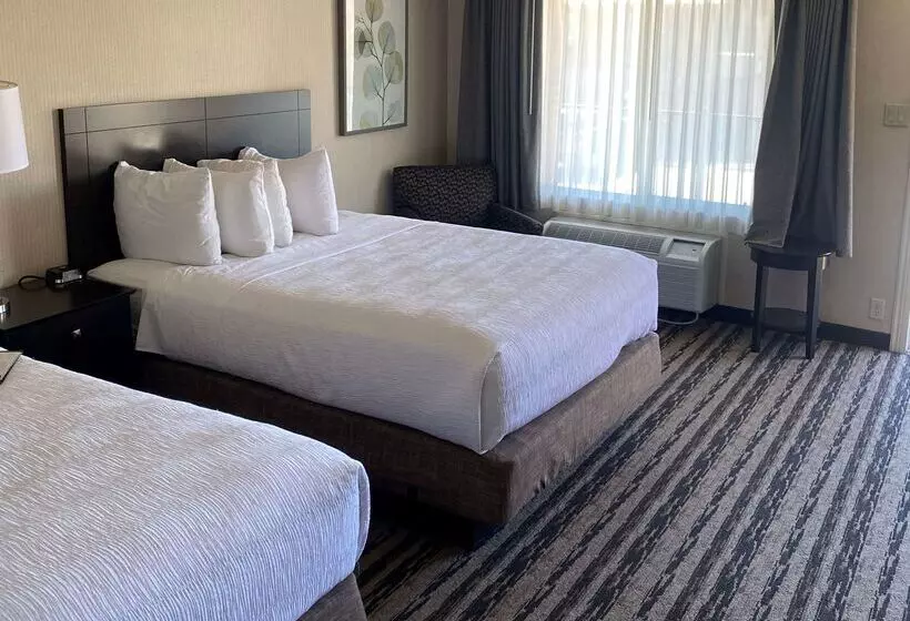 ホテル Best Western Coral Hills