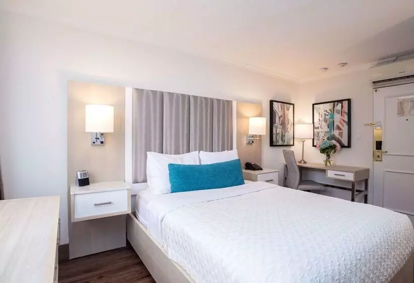 Отель Best Western Dorchester