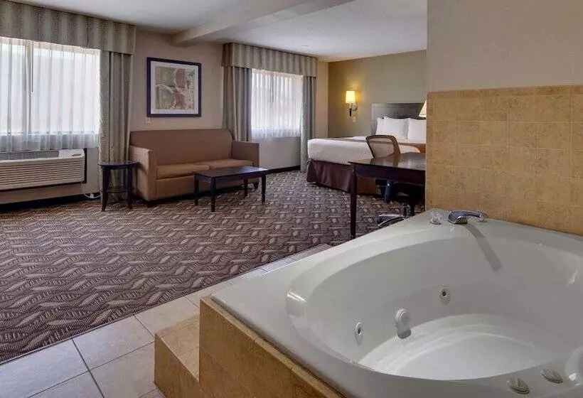 Отель Best Western Pontiac Inn