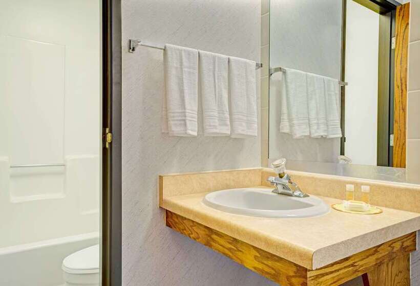 Hotel Days Inn By Wyndham Monticello