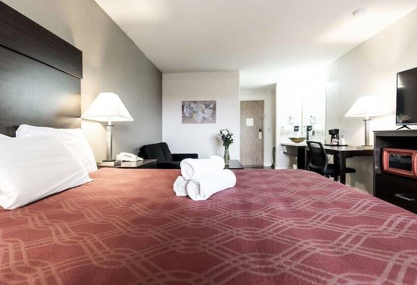 فندق Ocean Star Inn