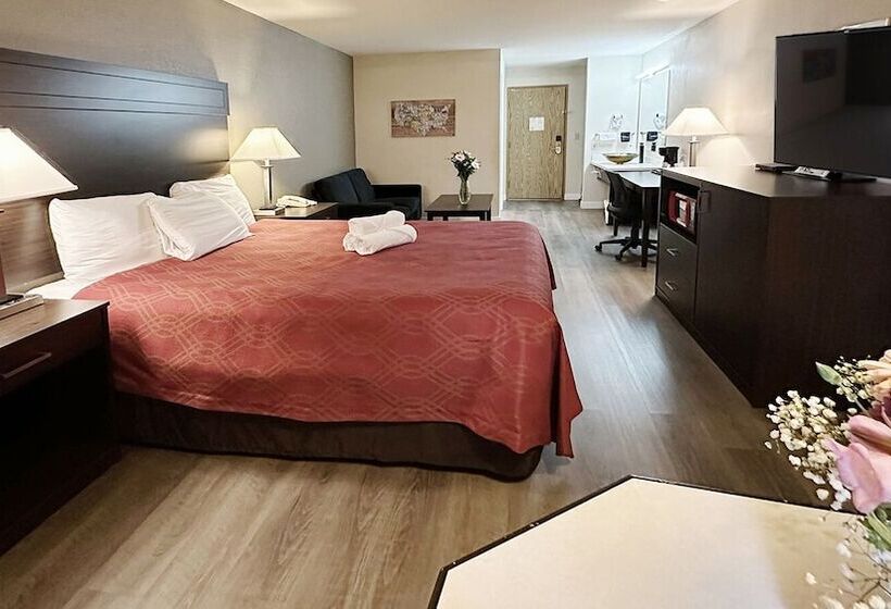 فندق Ocean Star Inn