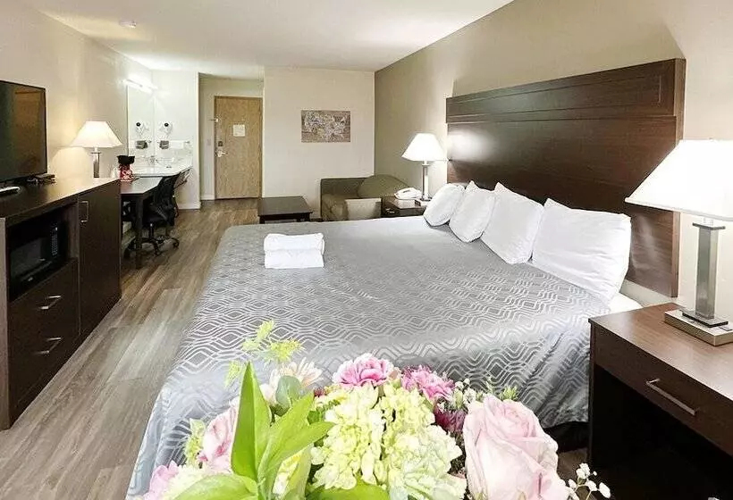 ホテル Ocean Star Inn