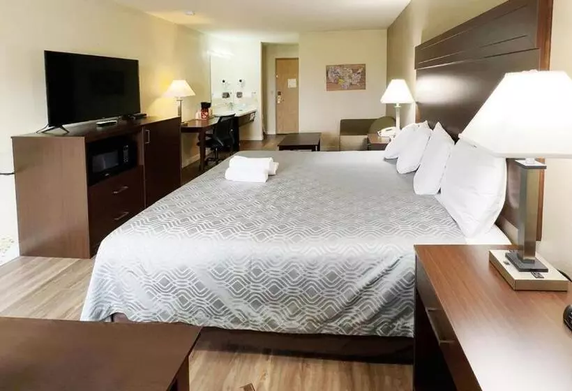 ホテル Ocean Star Inn