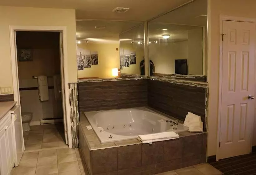 Отель Riviera Inn And Suites 1000 Islands