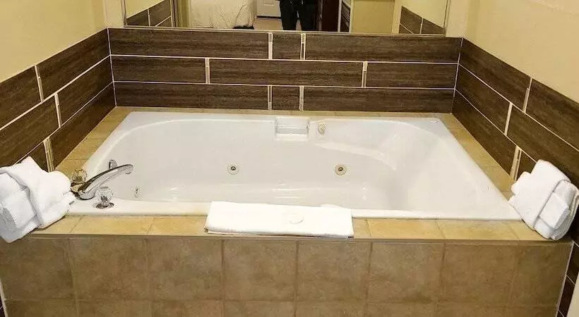 Отель Riviera Inn And Suites 1000 Islands