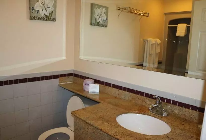 Отель Riviera Inn And Suites 1000 Islands