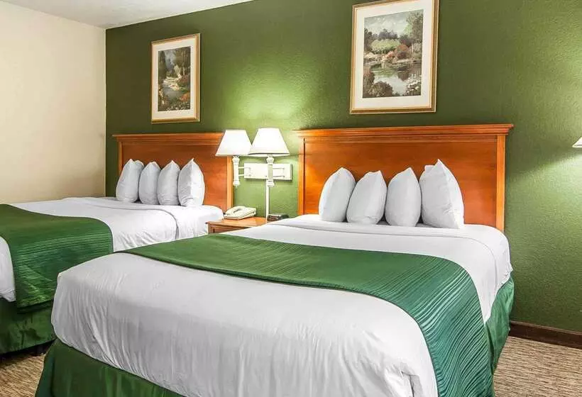 酒店 Quality Inn Downtown Convention Center