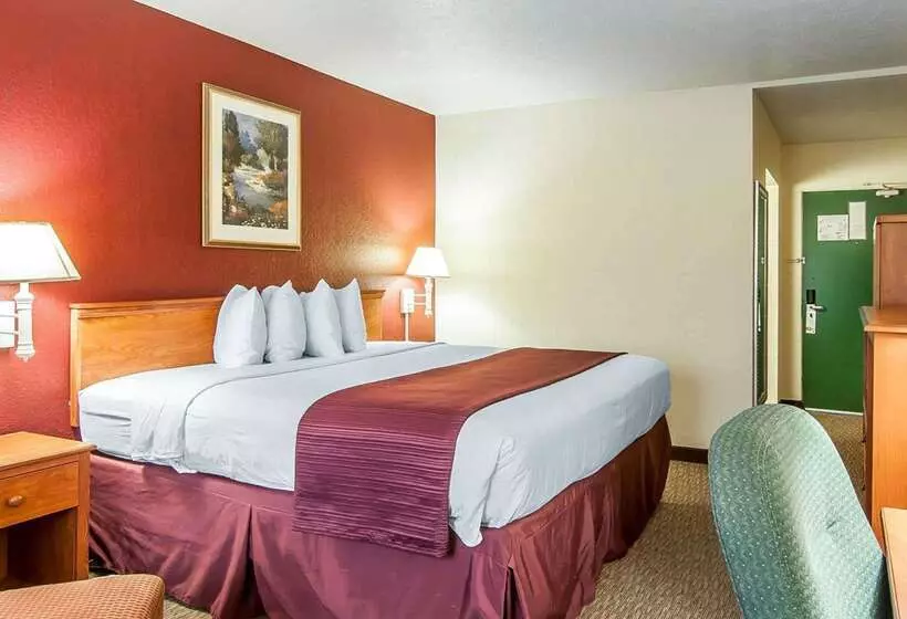 酒店 Quality Inn Downtown Convention Center