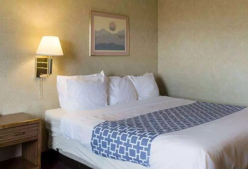 בית מלון כפרי Rodeway Inn