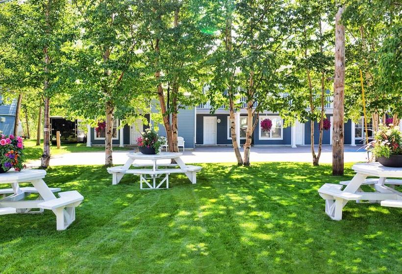 هتل Royal Inn & Suites