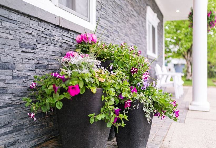 هتل Royal Inn & Suites