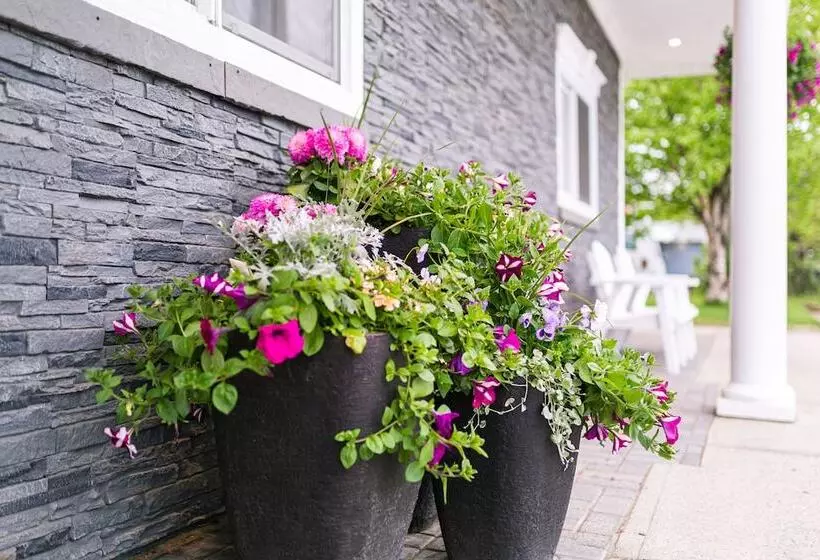 Отель Royal Inn & Suites