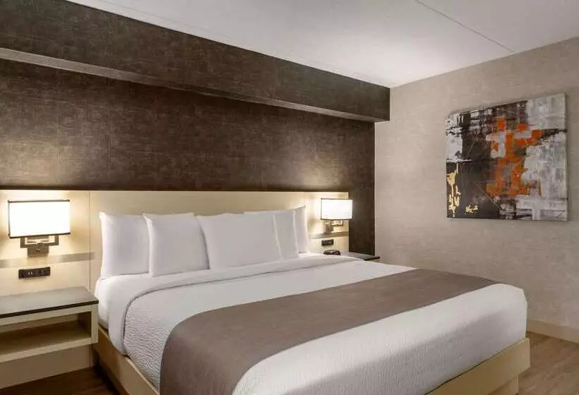 酒店 Days Inn By Wyndham Toronto West Mississauga