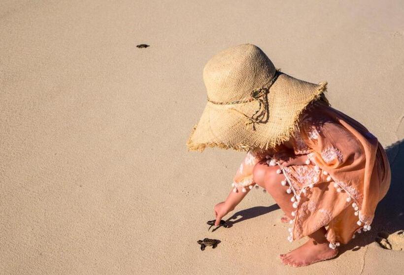 Hotel Denis Private Island Seychelles