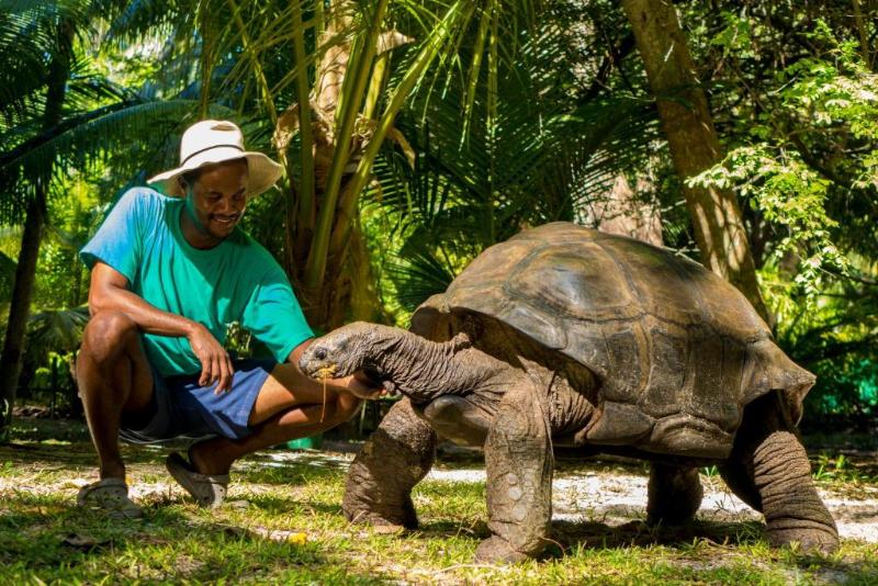 Hotel Denis Private Island Seychelles