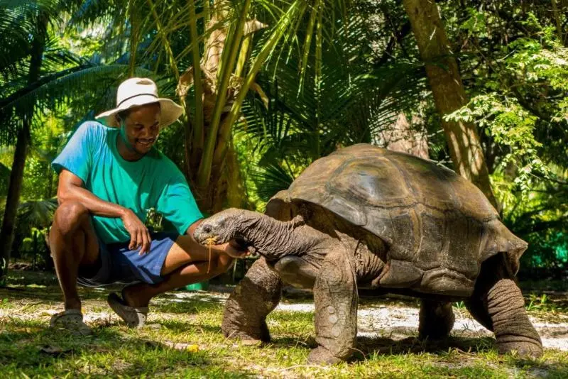 هتل Denis Private Island Seychelles