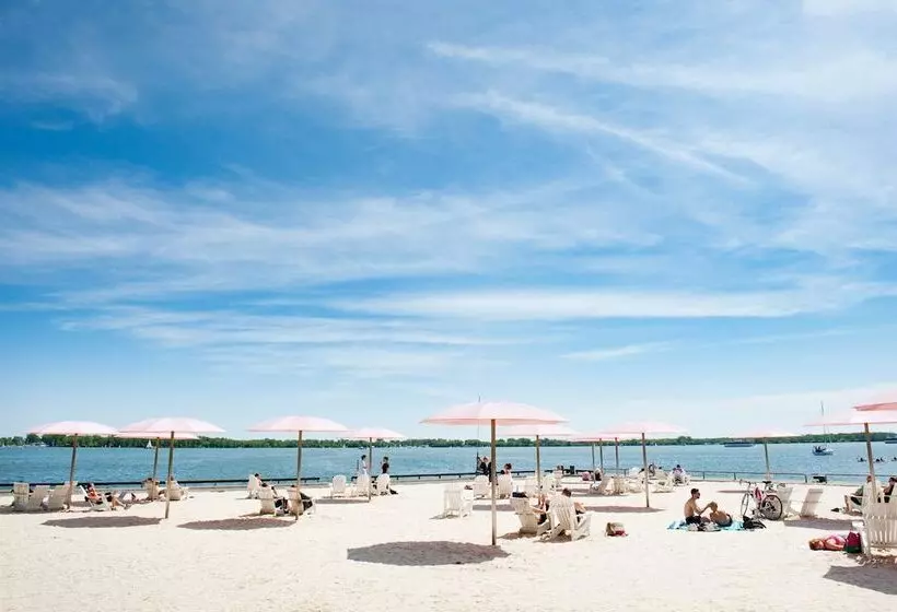 ホテル Holiday Inn Express Toronto Downtown, An Ihg