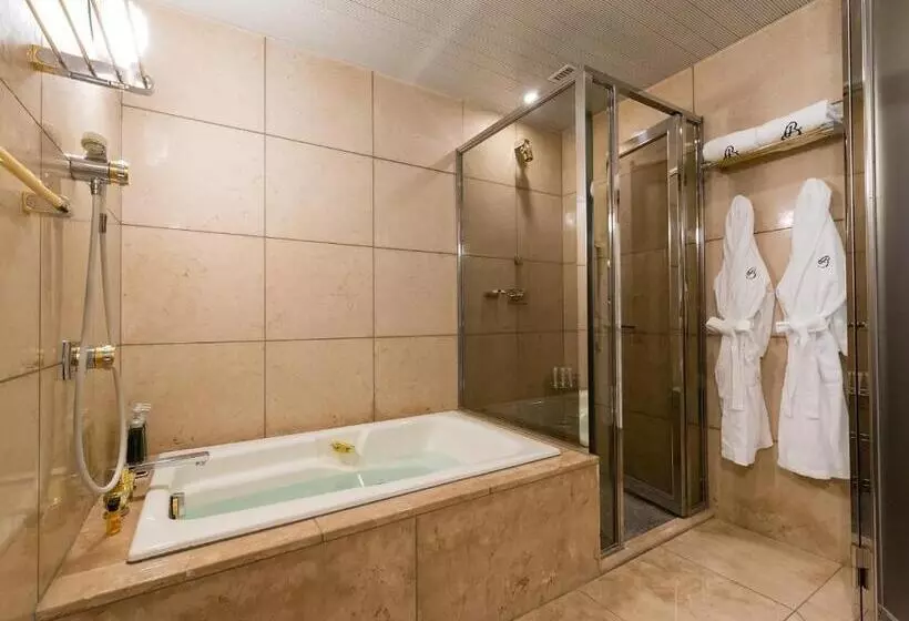 Отель Kyoto Brighton