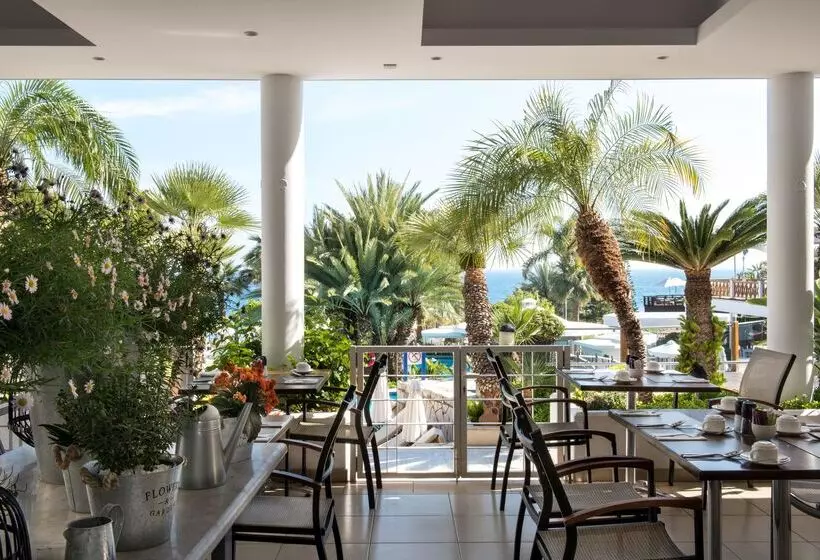 فندق Mediterranean Beach