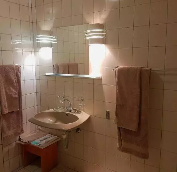 هتل Pension Steiner