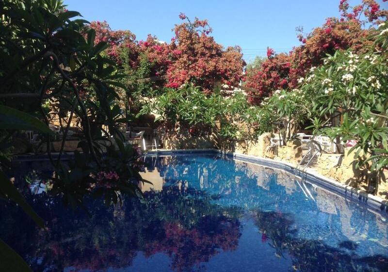 هتل Roman Boutique