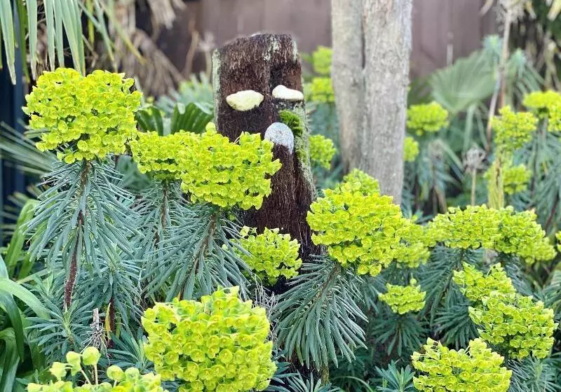 모텔 Pacific Harbour Villas