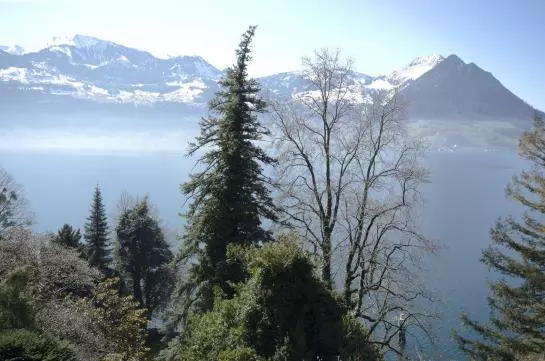 Paradieshotel Rotschuo