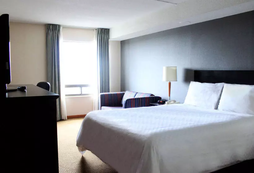 Quality Hotel Downtown