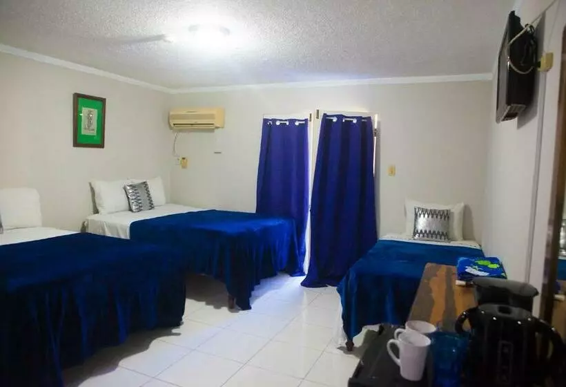 酒店 Caribic House