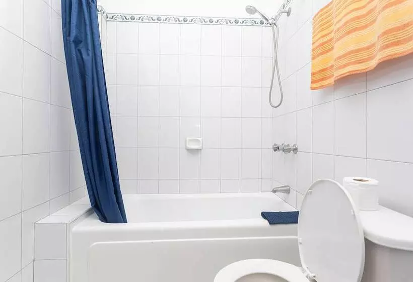 酒店 Caribic House