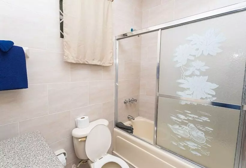 酒店 Caribic House