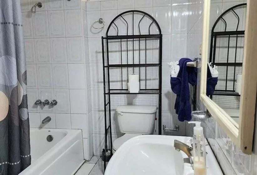 酒店 Caribic House