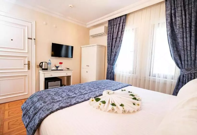 Alzer Hotel Special Class