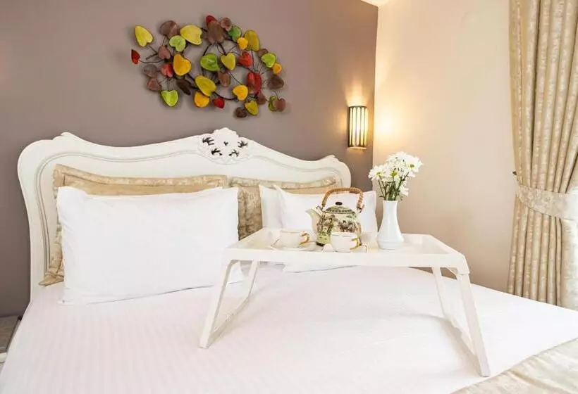 Alzer Hotel Special Class