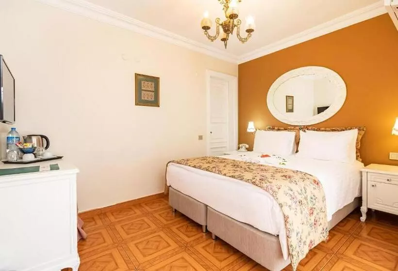 Alzer Hotel Special Class