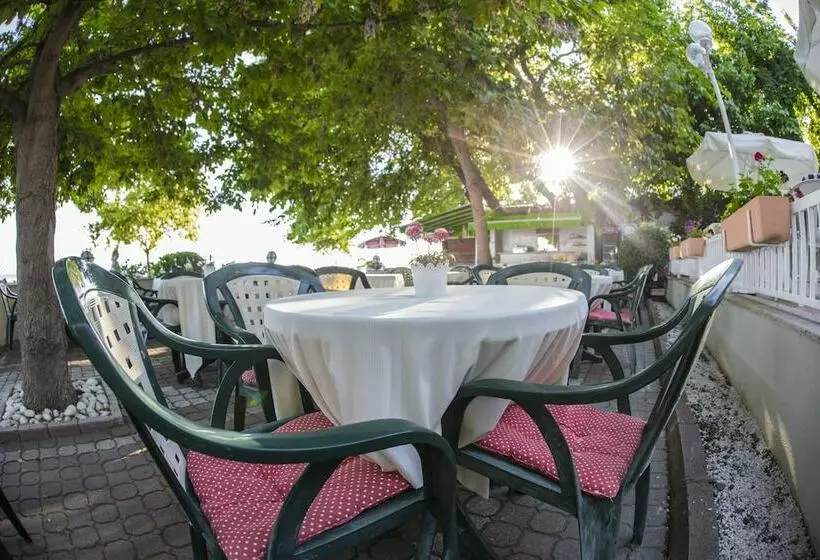 בית מלון כפרי Arteka