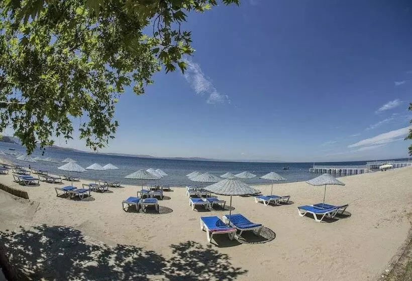 בית מלון כפרי Arteka