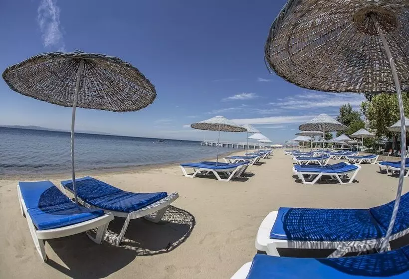 בית מלון כפרי Arteka